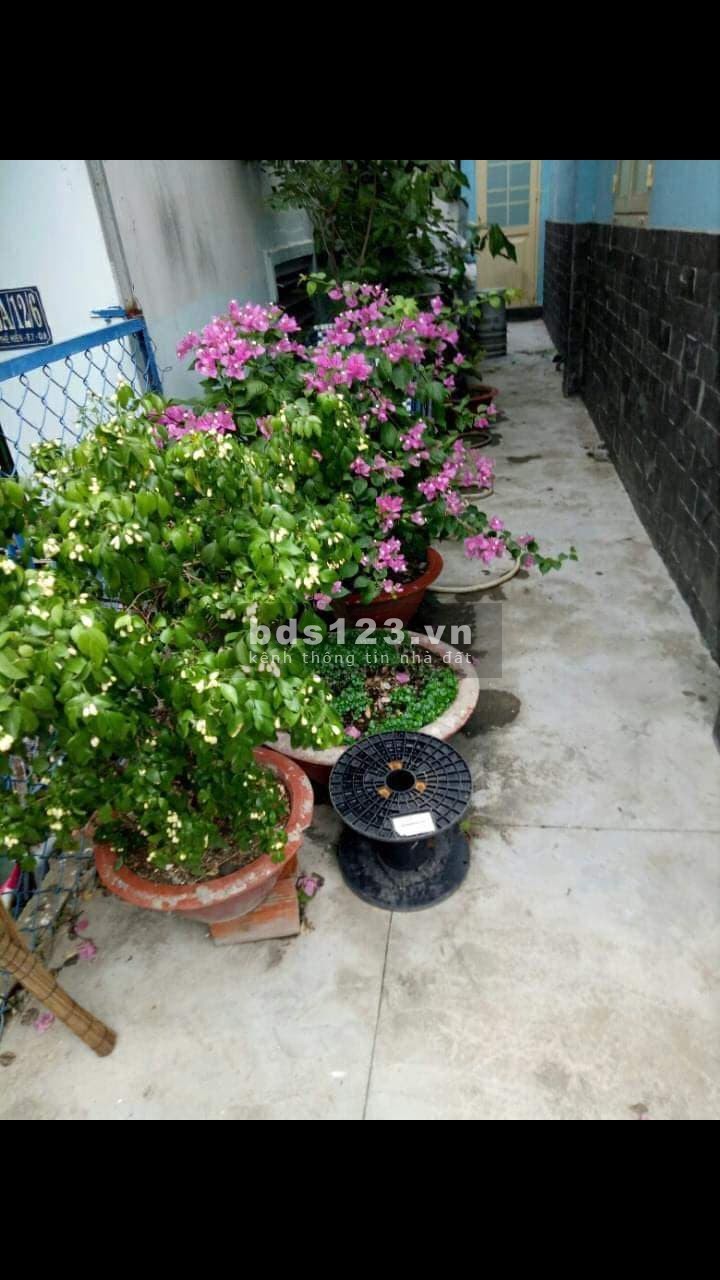Bán nhà Phạm Thế Hiển, p6, Q8, 49m2, nhà mới ở ngay.