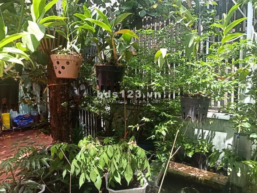 BT Sân vườn LÊ VĂN LƯƠNG Q7 dt 153m (6x25) giá 6,8 TỶ. Chỉ 44 tr/m2 ĐẦU TƯ SINH LÃI CAO