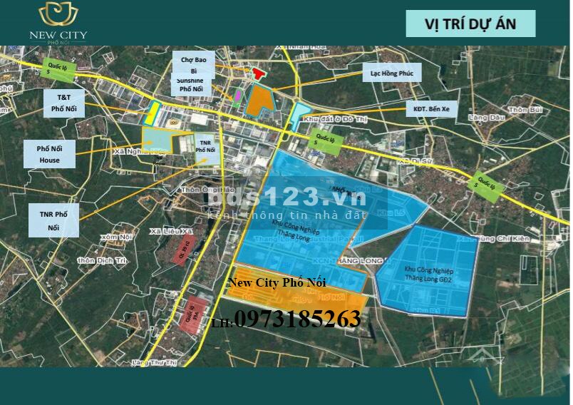 Đầu năm mua muối - cuối năm mua đất đầu tư