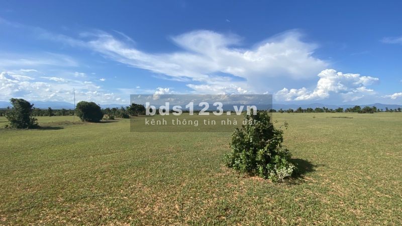Đất trồng cây gần biển Hòa Thắng, sẵn sổ.