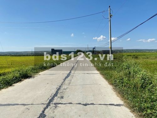 Đất trồng cây gần biển Hòa Thắng, sẵn sổ.