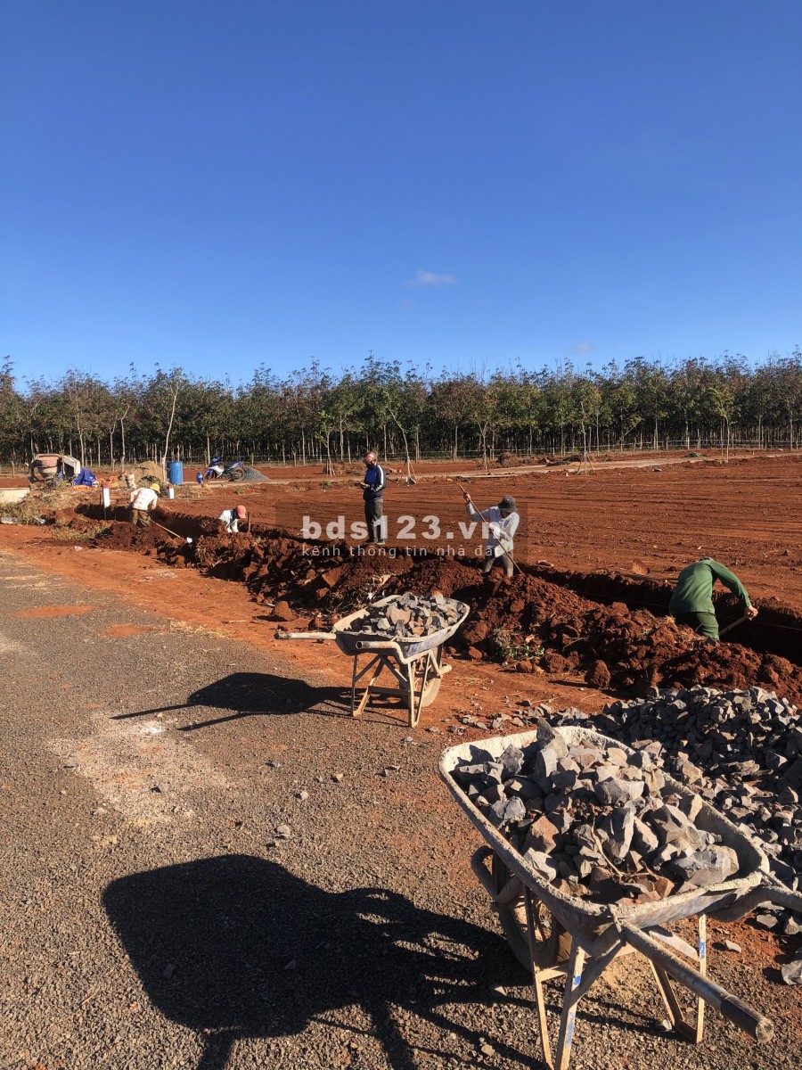 Đất Sổ sở hữu lâu dài ở gia lai 300m2