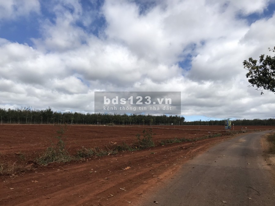 Đất sổ đỏ cạnh KCN Nam Pleiku, Gia Lai;giá 1.5 triệu/m2