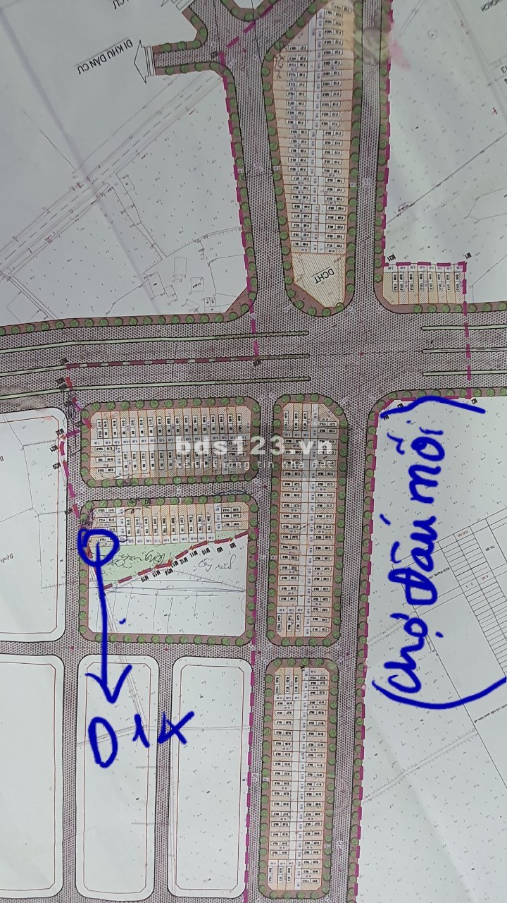 Bán nhanh 116m đất, Lô D14 (VIP), Dự án tt Rừng Thông, Công ty Minh Tuấn