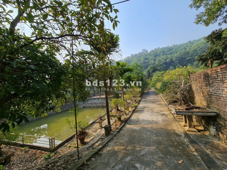 BÁN GẤP 3200M TẠI ĐỒNG CHẰM, ĐÔNG XUÂN, QUỐC OAI, HN