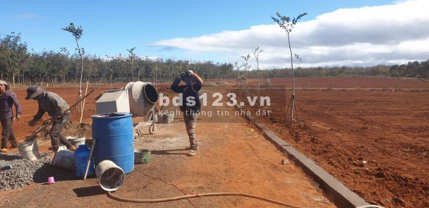 Chính Chủ Bán đất thổ cư giá chỉ 350 triệu/lô tại xã Chư Sê