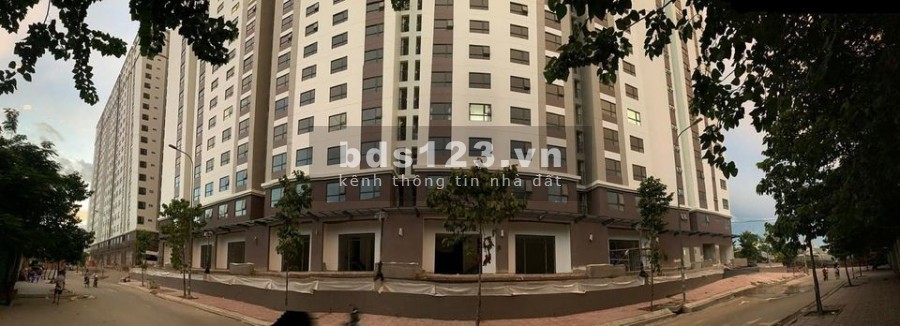 Cho thuê và bán shophouse 1 trệt, 1 1 lầu mt Phạm Thế Hiển, kin doanh đa ngành nghề