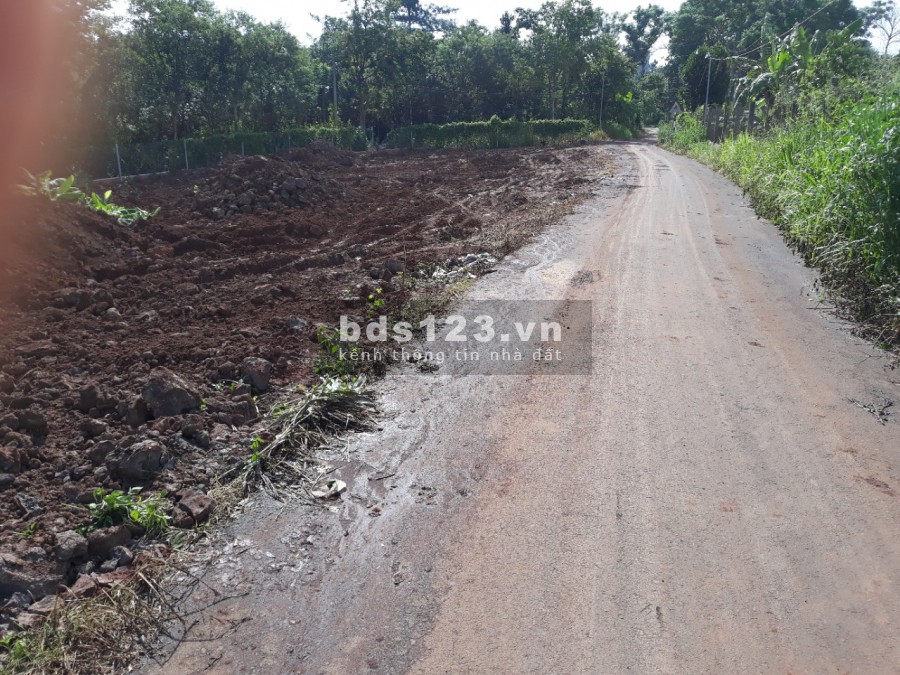 Đất mặt tiền kinh doanh doanh buôn bán, cách QL1A 500m. 280tr/ 135m2