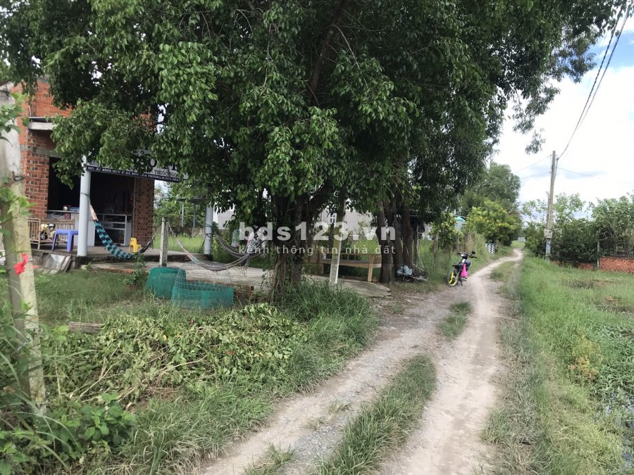 Bán gấp đất Đức Hòa Thượng, Đức Hòa LA. DT 5x26/ Chỉ 740 triêu