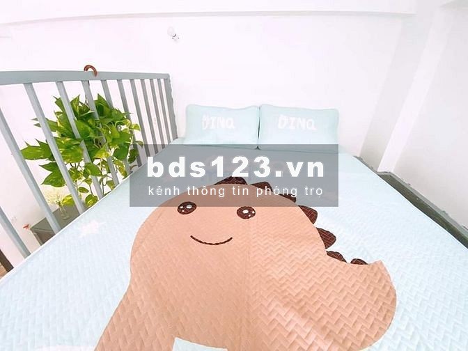 Cho thuê Căn Hộ Chung Cư mini tại Nguyễn Văn Lượng