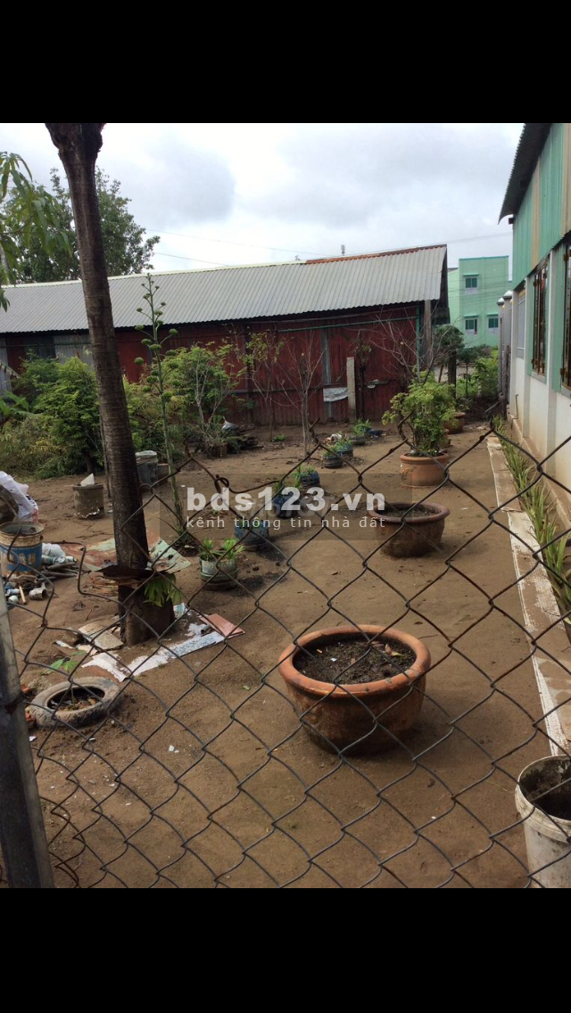 Cho thuê mặt bằng đất vườn ngay mặt tiền