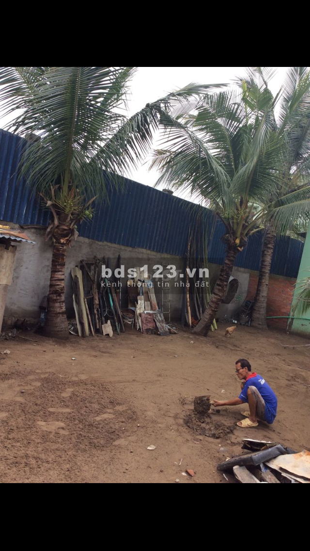 Cho thuê mặt bằng đất vườn ngay mặt tiền