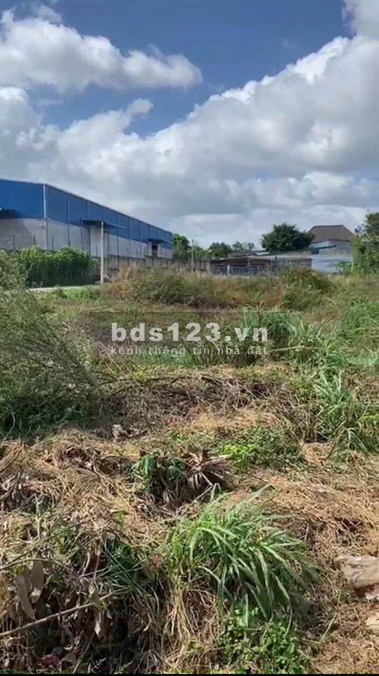 Chủ Đại Hạ Giá MT Phạm Thị Rực, Củ Chi 5601m2 còn 5 tỷ 6