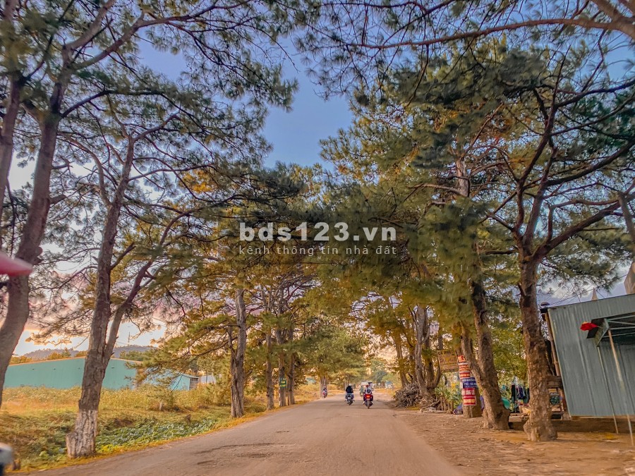 Mở bán 10 lô đất nền sổ đỏ tại khu công nghiệp lớn nhất tỉnh Gia Lai
