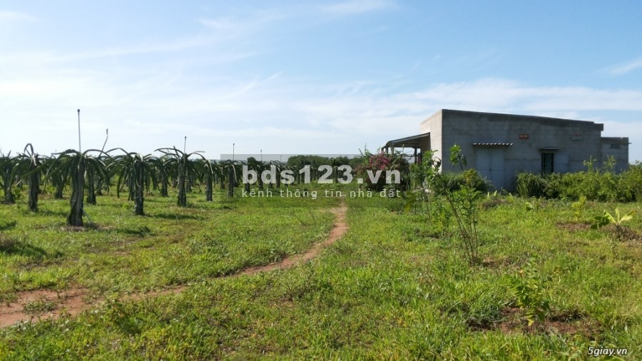 Đất vườn liền kề liên huyện, giá rẻ, có sổ
