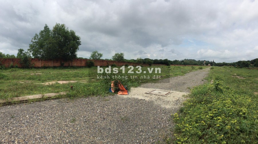 Bán đất núi Dinh giá rẻ nhất Phú Mỹ