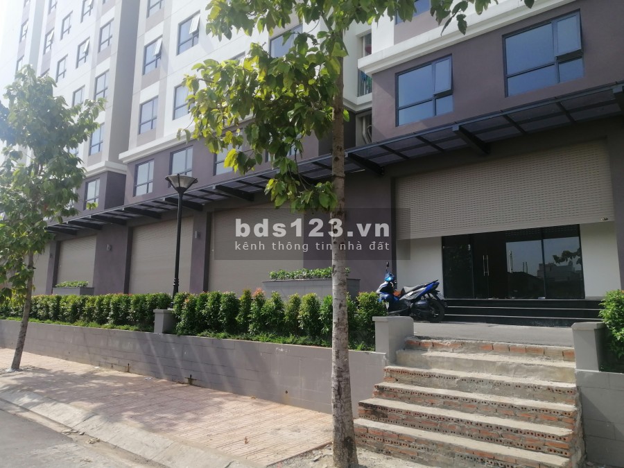 Cho thuê và bán shophouse 1 trệt, 1 1 lầu mt Phạm Thế Hiển, kin doanh đa ngành nghề