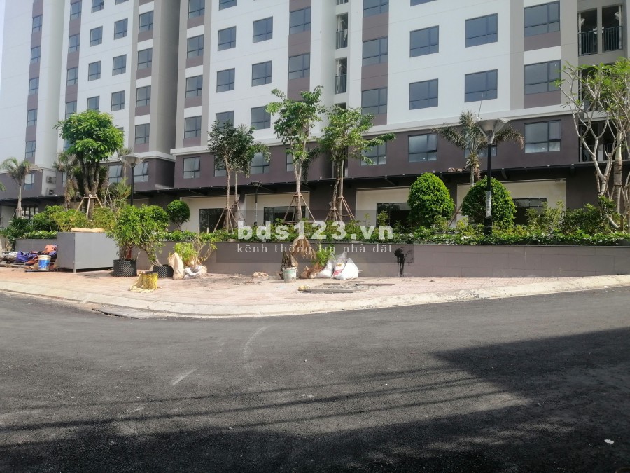 Cho thuê và bán shophouse 1 trệt, 1 1 lầu mt Phạm Thế Hiển, kin doanh đa ngành nghề