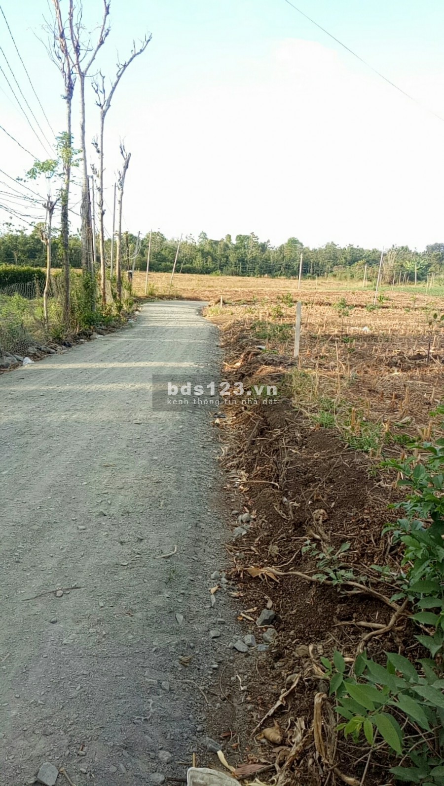 Bán 2.000m2 đất tại Ấp 11, xã Xuân Tây, Cẩm Mỹ giá 1 tỷ