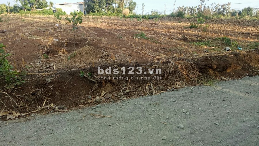Bán 2.000m2 đất tại Ấp 11, xã Xuân Tây, Cẩm Mỹ giá 1 tỷ