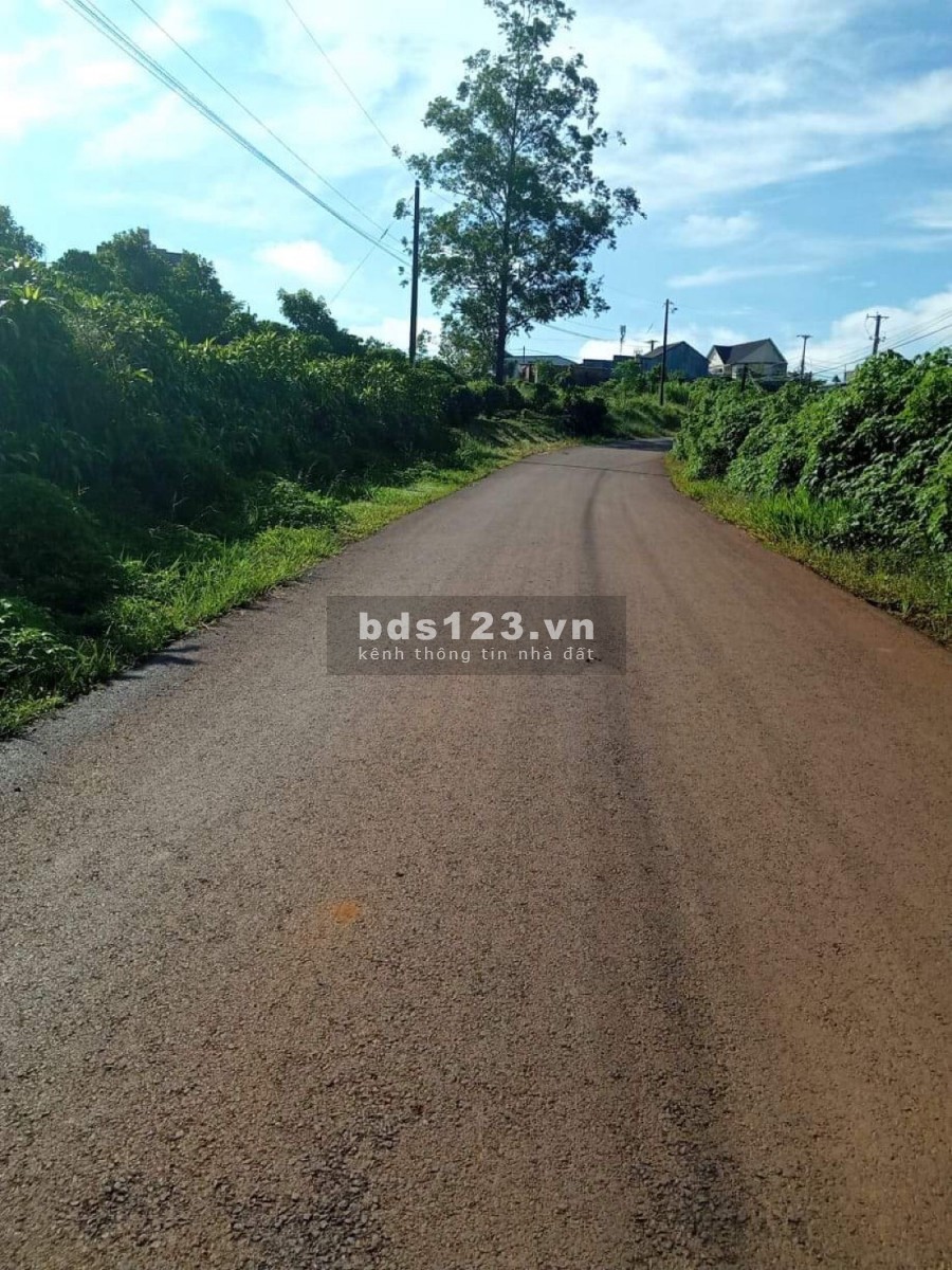 Đất đầu tư nghỉ dưỡng trung tâm TP Bảo Lộc giá chỉ 700 triệu /200m2 Full thổ cư .