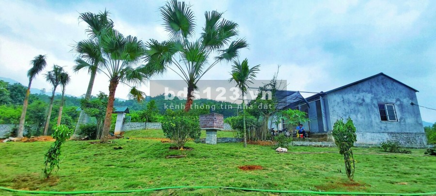 CHUYỂN NHƯỢNG GẤP LÔ 9400m, 500m ĐẤT Ở ĐÃ HOÀN THIỆN KHUÔN VIÊN TẠI LƯƠNG SƠN HOÀ BÌNH