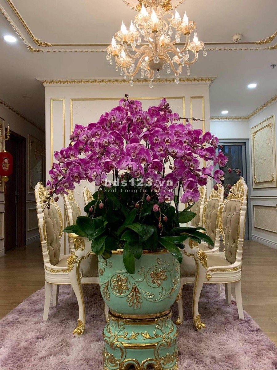 Chính chủ cần bán căn 4PN, BC Đông Nam 147m tại A3 Vinhomes Gardenia