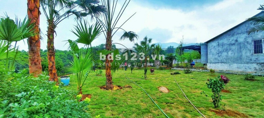 CHUYỂN NHƯỢNG GẤP LÔ 9400m, 500m ĐẤT Ở ĐÃ HOÀN THIỆN KHUÔN VIÊN TẠI LƯƠNG SƠN HOÀ BÌNH