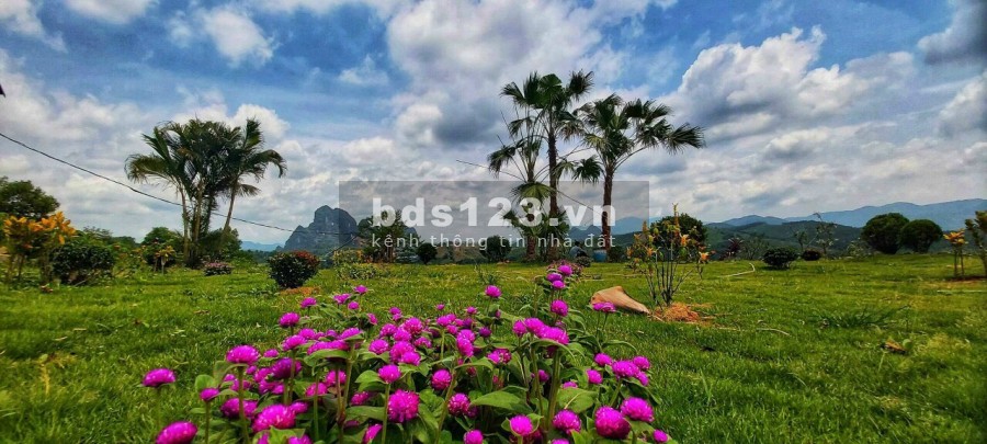 CHUYỂN NHƯỢNG GẤP LÔ 9400m, 500m ĐẤT Ở ĐÃ HOÀN THIỆN KHUÔN VIÊN TẠI LƯƠNG SƠN HOÀ BÌNH