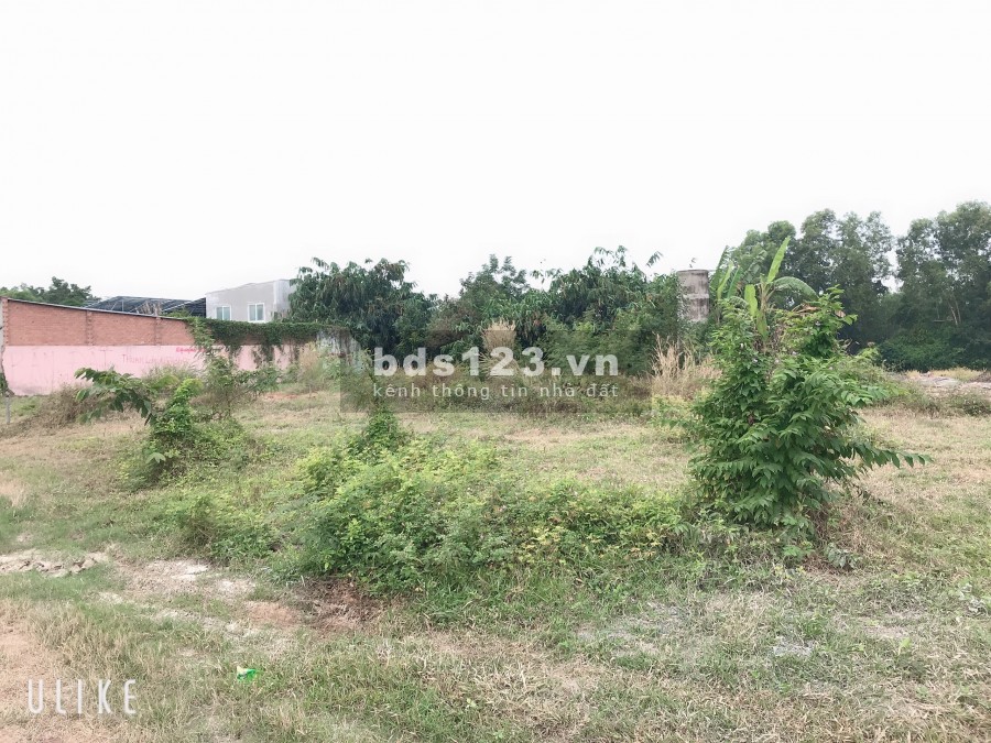 Bán đất thổ cư DT 113m2 mặt tiền 5m, thị trấn Đất Đỏ, tỉnh Bà Rịa Vũng Tàu.