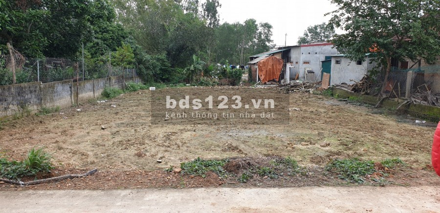 Bán đất ngõ Cao Lỗ 15 x 30m, có thể tách thành 2 lô bán lẻ, chỉ 7xx/lô