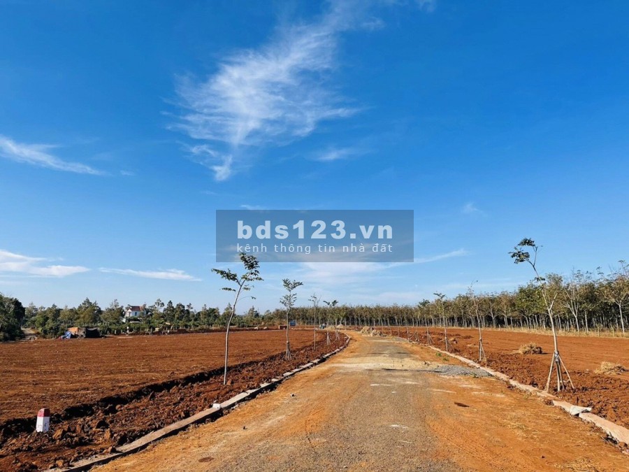 ĐẤT GIÁ RẺ - CHƯ SÊ - GIA LAI . DT: 455 M2 THỔ CƯ - GIÁ 432TR SHR – LH: 0355541445