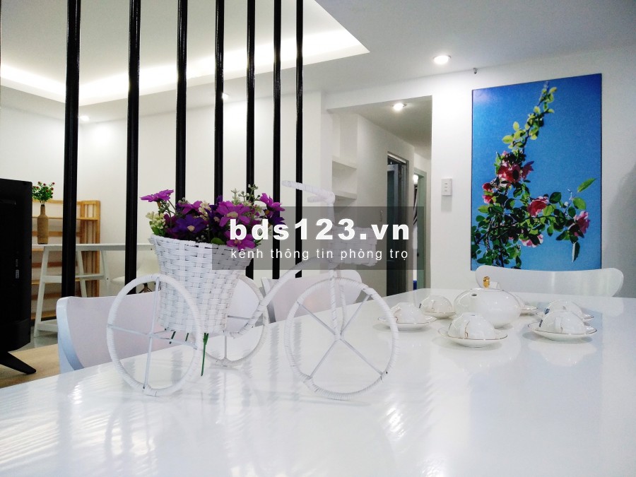 Cho thuê Căn hộ 2PN 2WC riêng full NT cao cấp 90m2 ở Đinh Tiên Hoàng, Đakao, Quận 1 giá chỉ 18.6 triệu/tháng