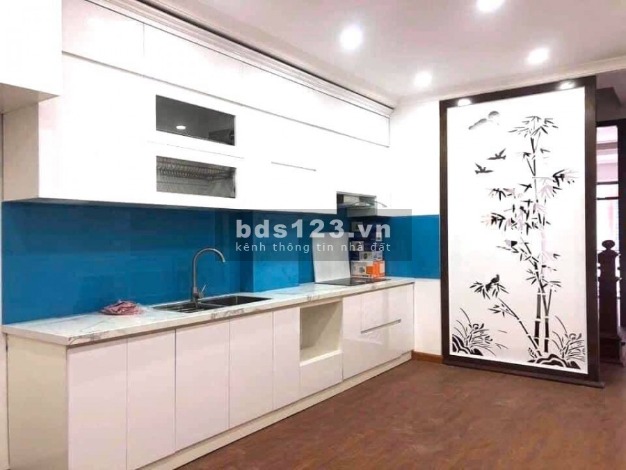 Bán bằng mọi giá 48m 5T 6.6 tỷ Hoàng Văn Thái,Thanh Xuân, gara ô tô,nhà mới