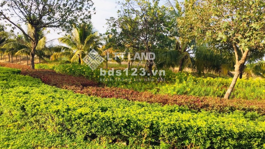 BÁN ĐẤT FPT CITY ĐÀ NẴNG 130M2