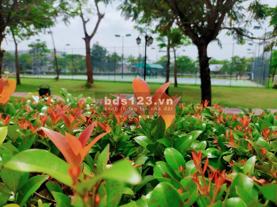 Cần bán lô đất nền 100m2 giá rẻ nhất Bình Chánh