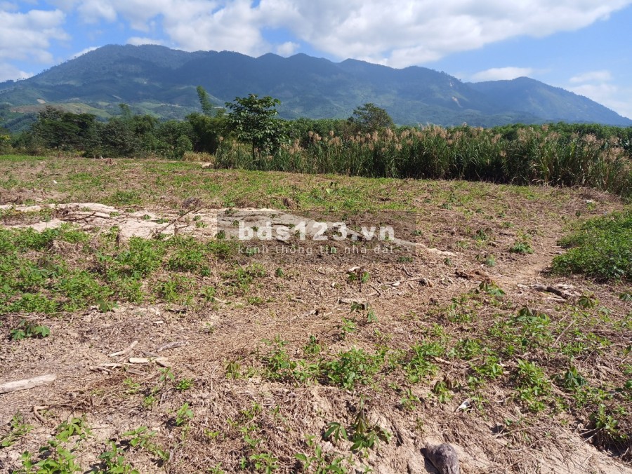 Bán đất cây lâu năm Khánh Vĩnh - Khánh Hòa