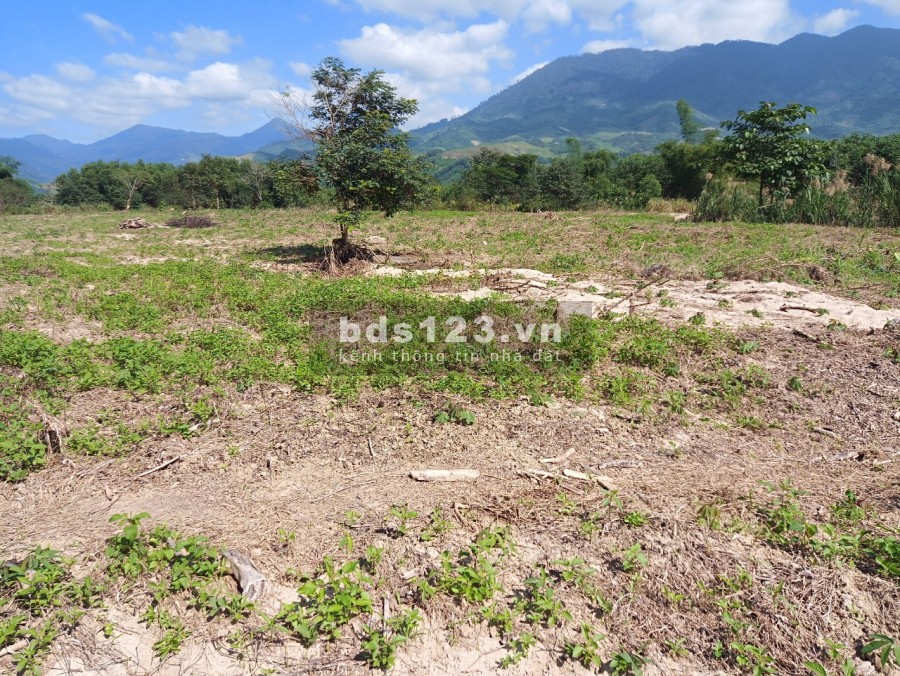 Bán đất cây lâu năm Khánh Vĩnh - Khánh Hòa