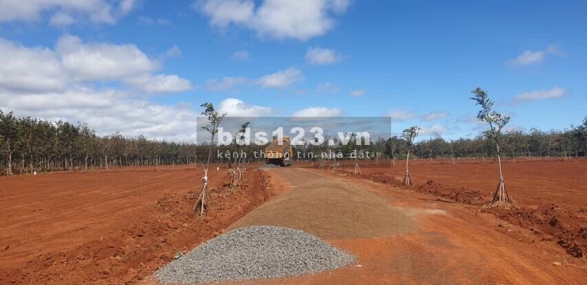 Khu dân cư Ia Ring - KCN Nam Pleiku chỉ từ 1trieu/m2