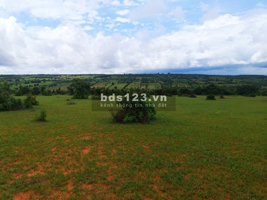Lô đất mặt tiền dài 116m - Cách QL1A chỉ vài bước chân.