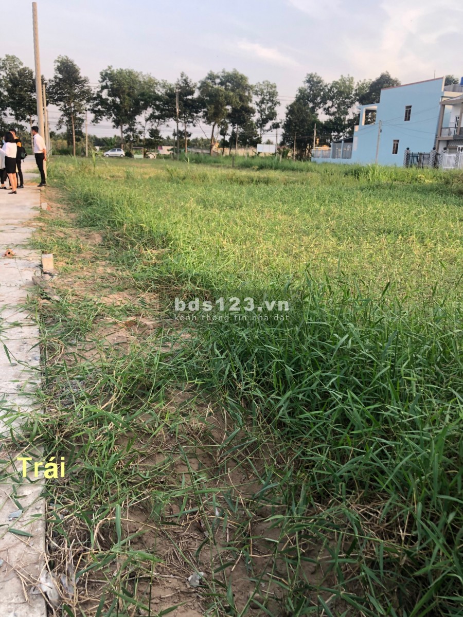 Đất nền xã Phú Nhuận sinh lời cao