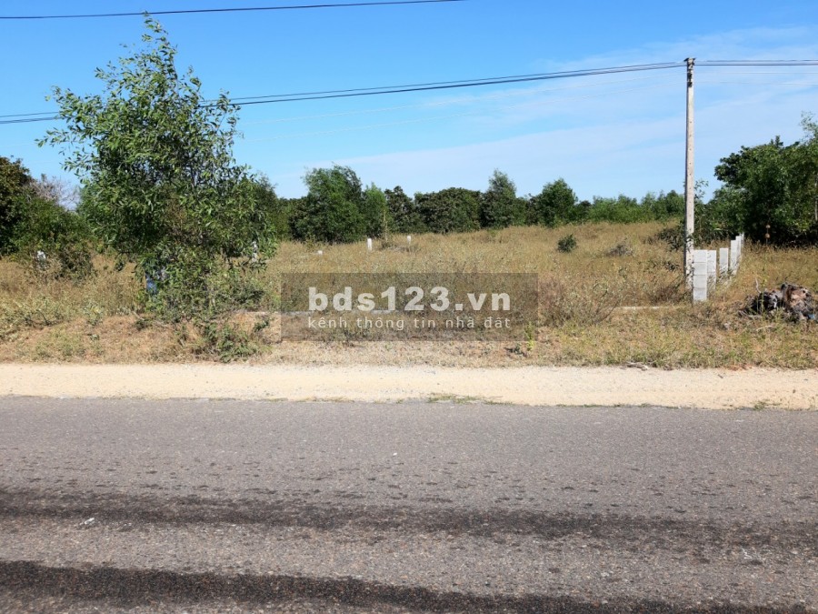 Bán giá cuối năm lô mặt tiền DT 715 gần Sân Bay Phan Thiết