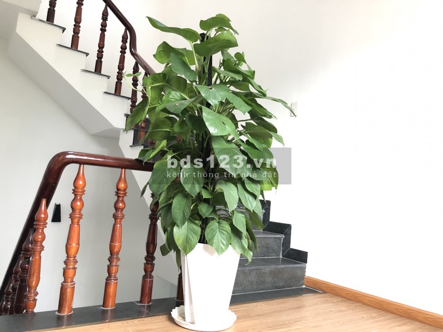 VĂN PHÒNG LÀM VIỆC QUẬN GÒ VẤP - HB BUILDING