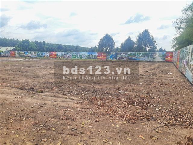 Sang nhượng gấp 4100m2 đất ngã tư dệ tứ Nam Định
