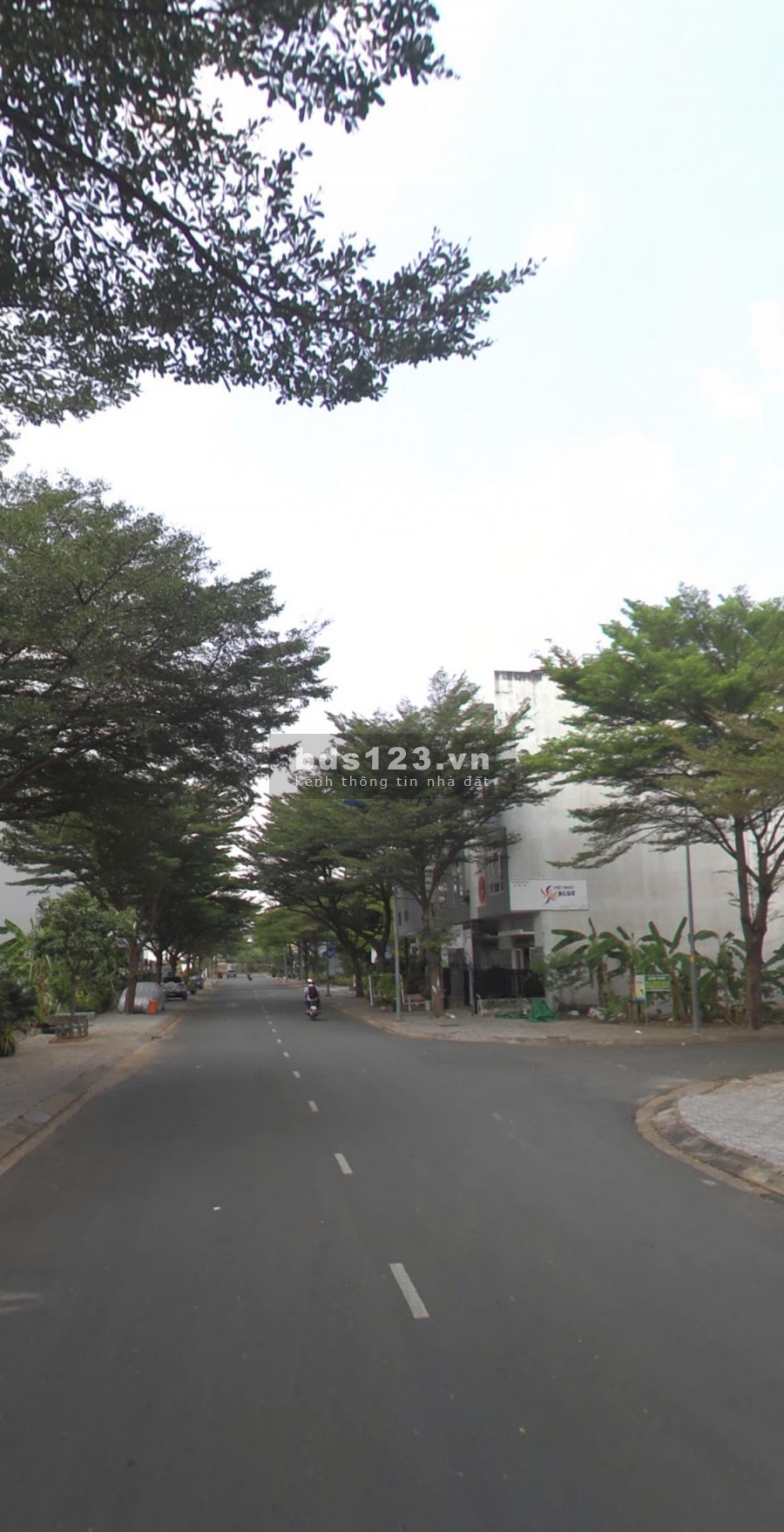 Đừng bỏ lỡ lô đất Nguyễn Hoàng, Q.2 gần Mega Market An Phú,Sổ sẵn giá 3.2 tỷ/nền 105m2