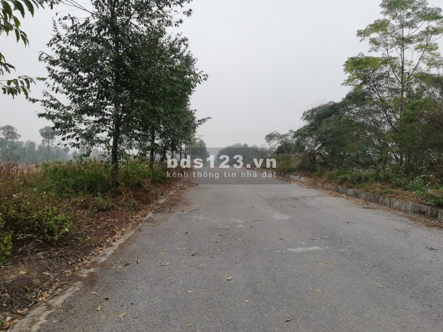 Tôi cần sang nhương lô đất TĐC ĐHQG - Hòa Lạc