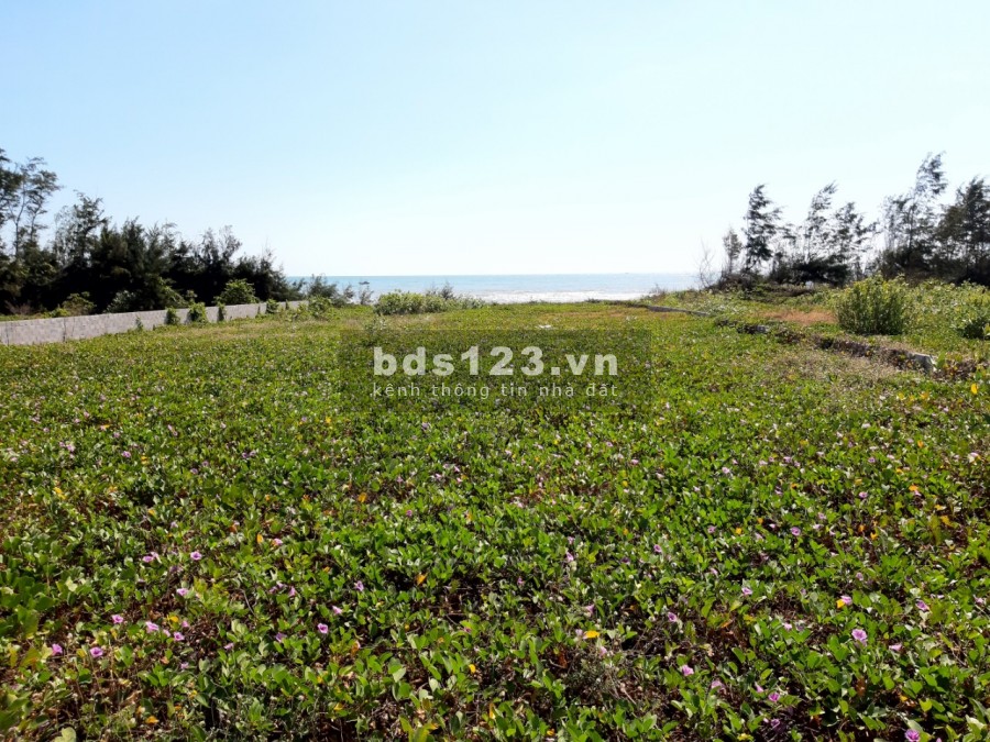 Bán đất biển du lịch giá rẻ gần Novaland, TP. Phan Thiết