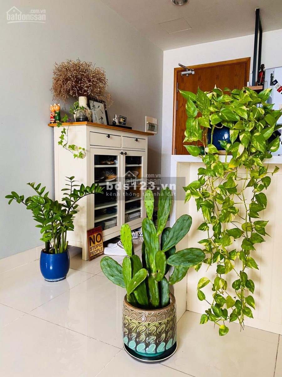 Có căn hộ 66m2, 2 PN, chính chủ cần cho thuê giá 10 triệu/tháng, bao phí quản lí, cc PARCSpring