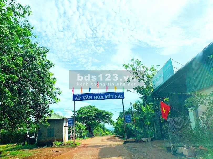 Nợ nần nên cần bán gấp trong tuần lô đất thổ cư, giá 290 triệu/147 m2