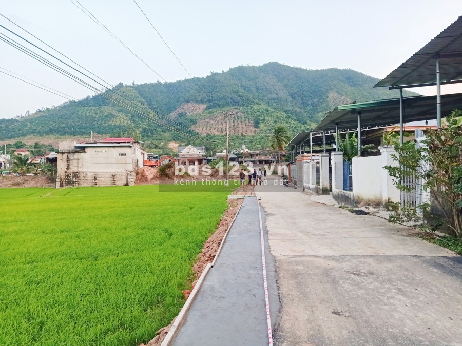 [Hot] Chưa từng có chỉ 550tr sở hữu lô đất View Sông Siêu Đẹp!